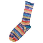 Lane Cervinia Forever Sock Yarn